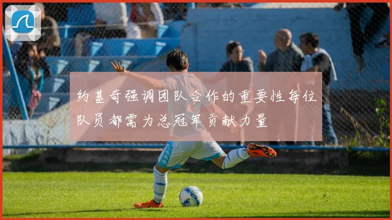 约基奇强调团队合作的重要性每位队员都需为总冠军贡献力量
