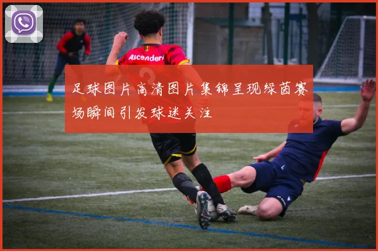 足球图片高清图片集锦呈现绿茵赛场瞬间引发球迷关注