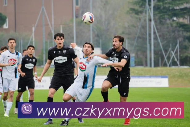 米兰官网手机版发展历程